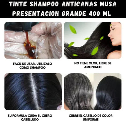 Shampoo Cubre Canas – Tarro de 400ml  🧴 ¡Despídete de las canas al instante!